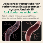 Neue Formel mit maximaler Wirkstärke – Lymphdrainage-Kapseln von Lymvora