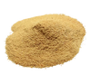Antioxidativer Schutz
