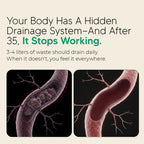 New Maximum Potency Formula - Lymphatic Drainage Capsules by Lymvora