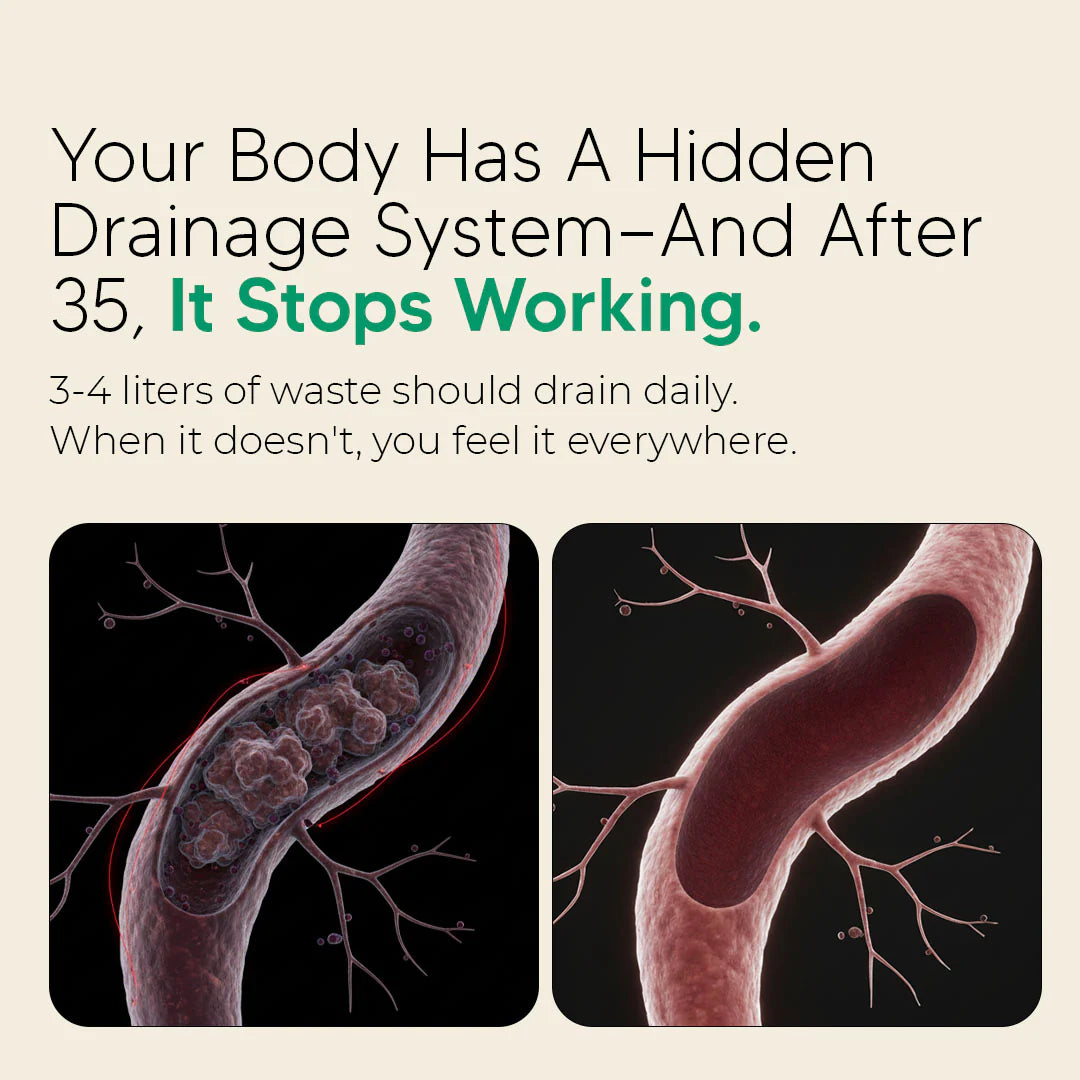 New Maximum Potency Formula - Lymphatic Drainage Capsules by Lymvora