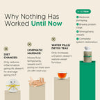 New Maximum Potency Formula - Lymphatic Drainage Capsules by Lymvora